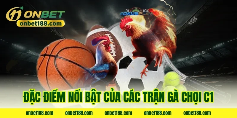 Đặc điểm nổi bật của các trận gà chọi C1