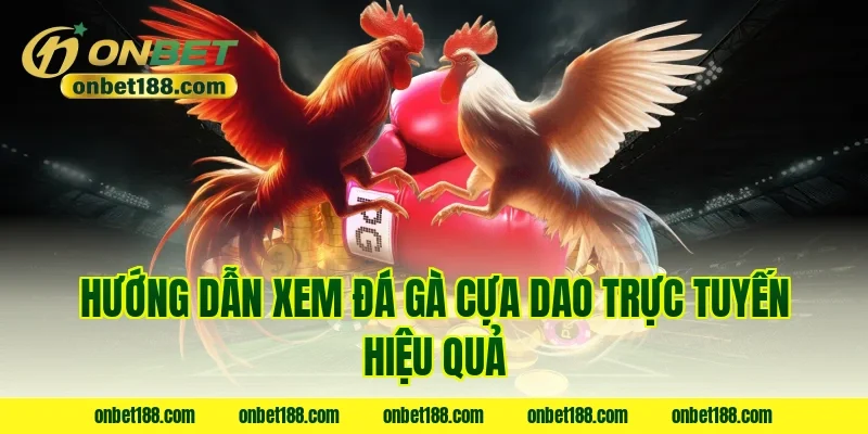 Hướng dẫn xem đá gà cựa dao trực tuyến hiệu quả