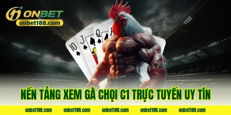 Nền tảng xem gà chọi C1 trực tuyến uy tín