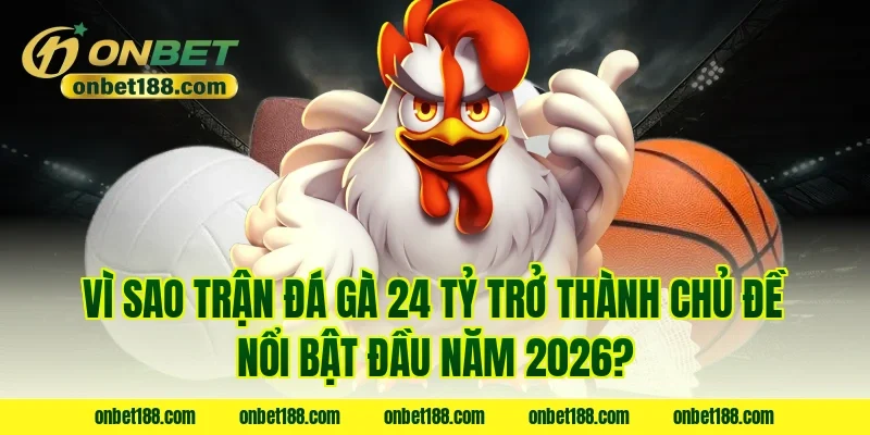 Vì sao trận đá gà 24 tỷ trở thành chủ đề nổi bật đầu năm 2026?